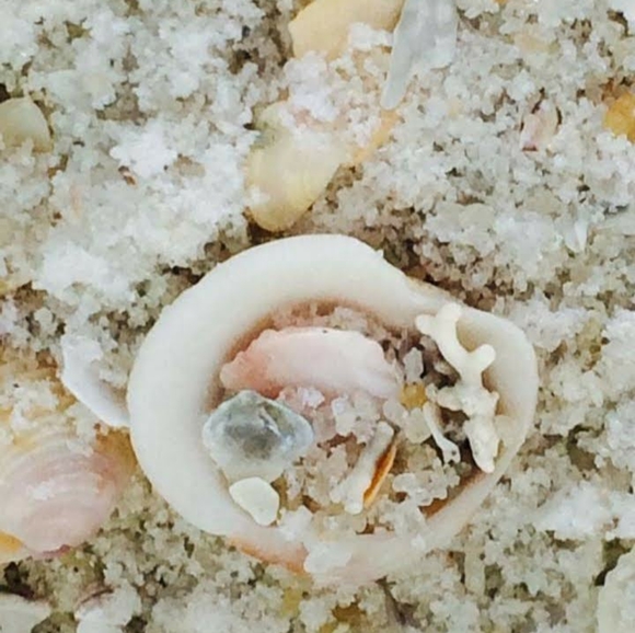 Meet your Posher, Alicia - Picture 7 of 10